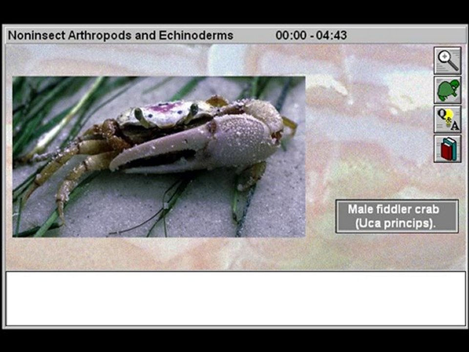 Invertebrates: Noninsect Arthropods and Echinoderms Part 1