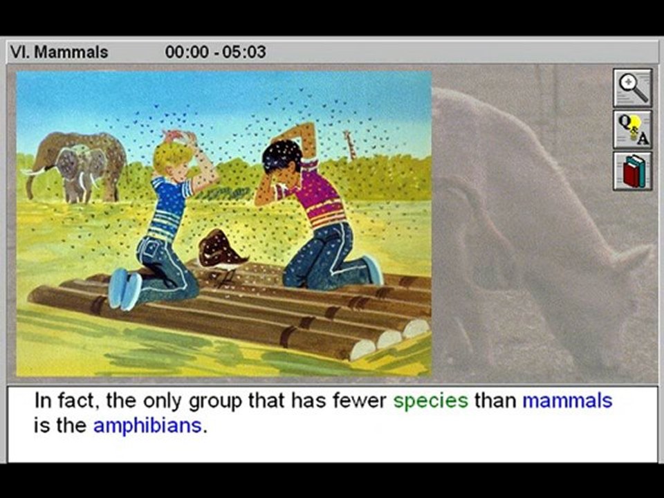 Elementary Science: Animals: Mammals