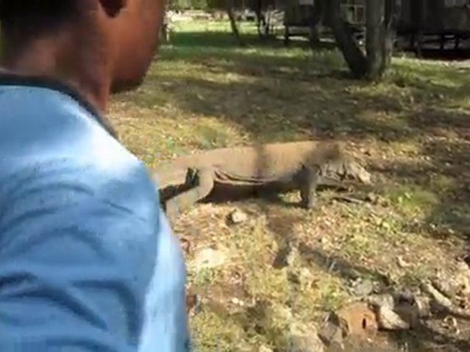 Indonésie Part 2 : du 25 mai au 25 juin 2010