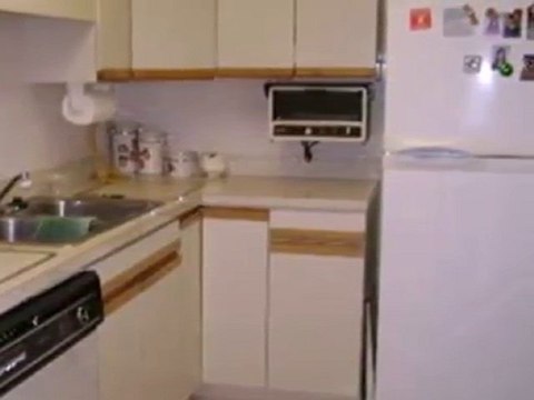 Homes for Sale - 1105 N Mill St Apt 221 - Naperville, IL 605