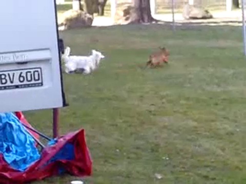 der streidt der freunde