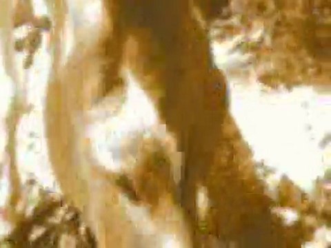 Mitos y Leyendas de La Ciénaga