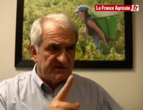 Caves coopératives : l'OCM vin est un marché de dupe