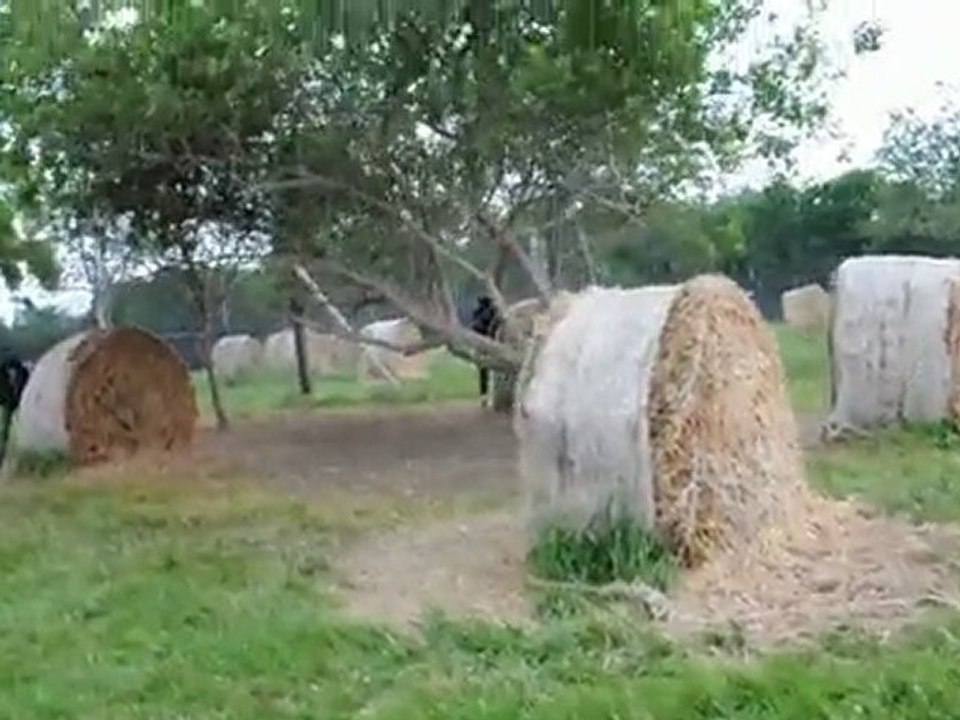 paintball au final 2 contre 1