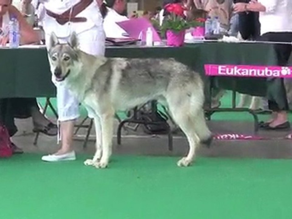 Championnat de France juillet 2010