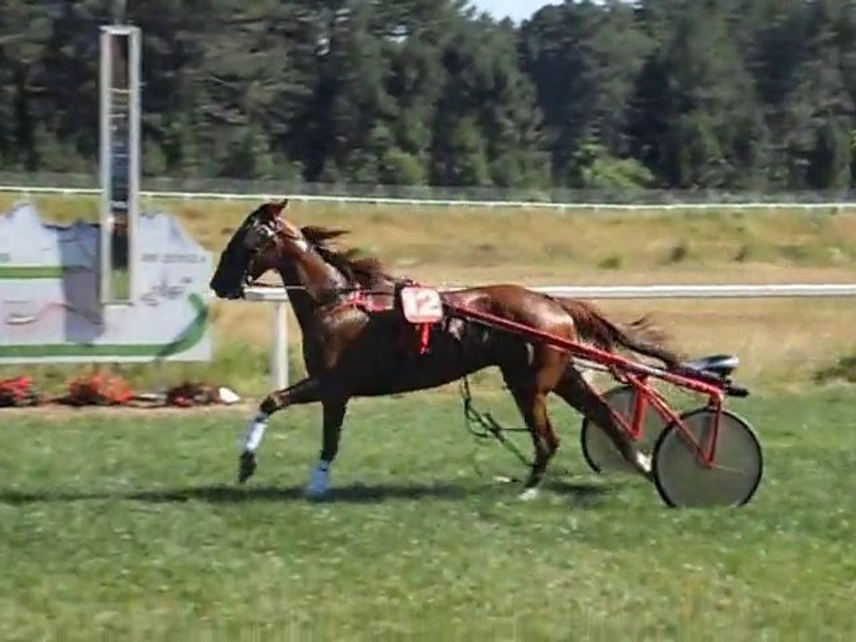 Les cavales rient à Viseo