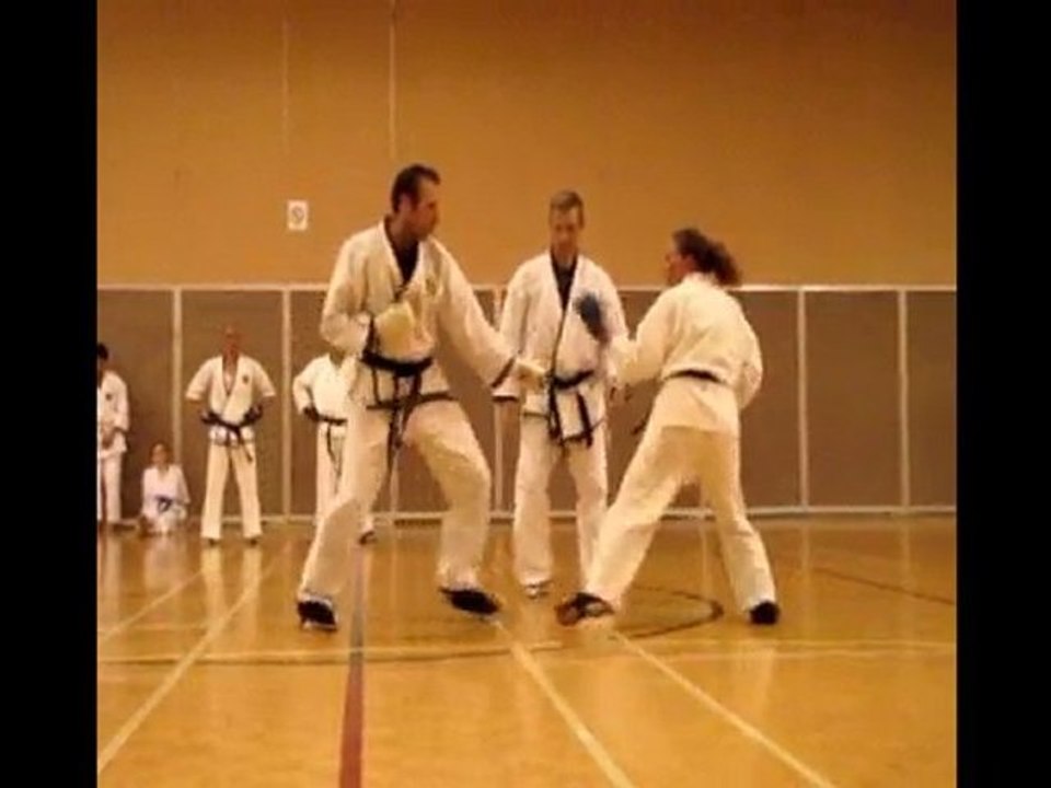 Black Belt Exam  June 2010 Kumite (1)