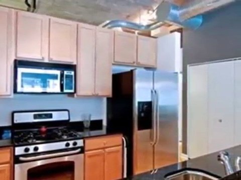 Homes for Sale - 1111 W 14th Pl Unit 110 - Chicago, IL 60608