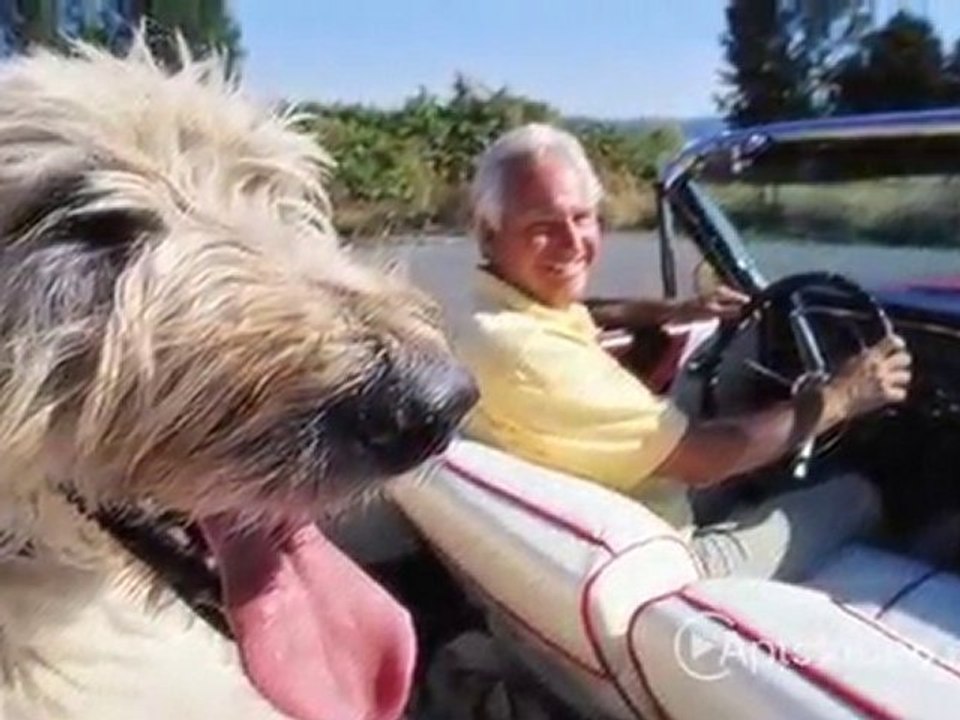 Carillon Apartments in Woodland Hills, CA - ForRent.com