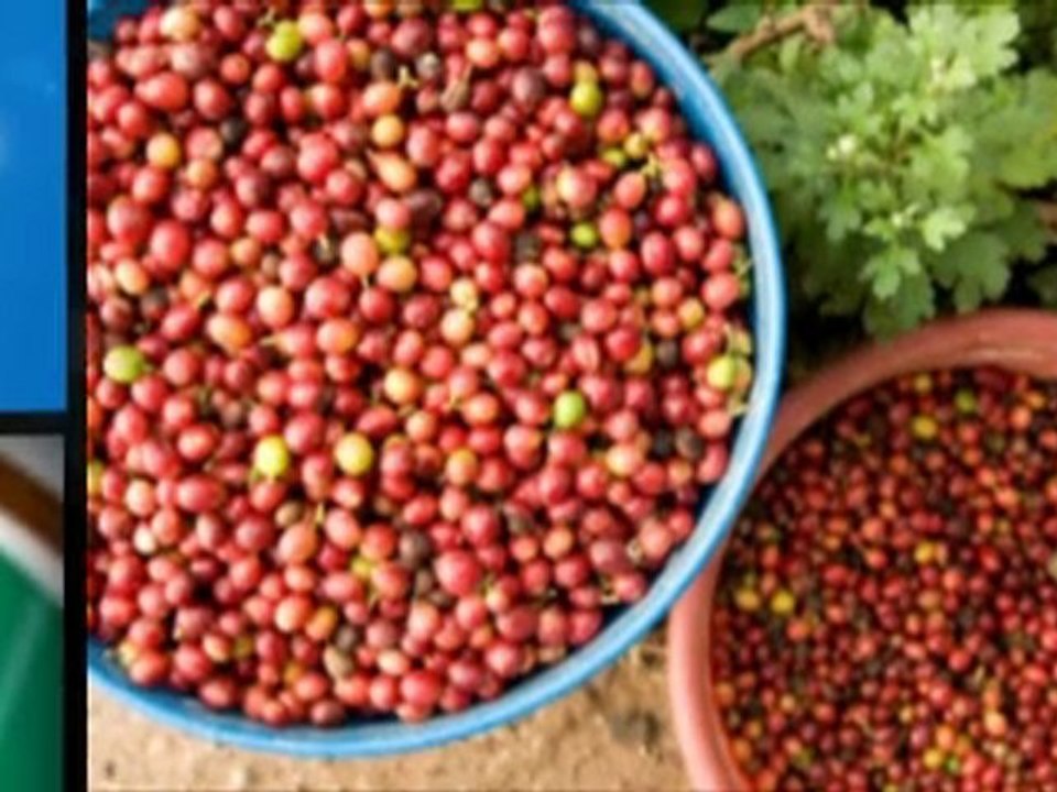 Enter a descriptive keyword-loaded title here!