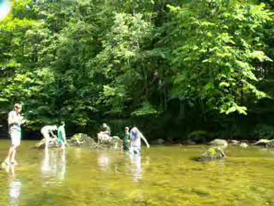 cerque a la peche