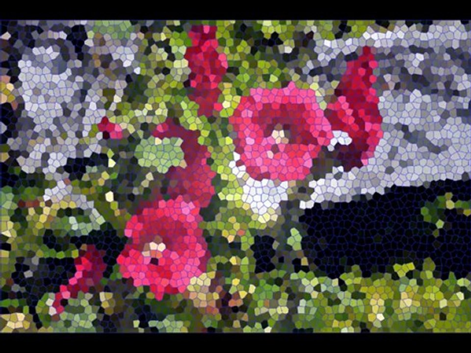 Poétique de couleurs