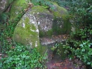 Álea Ferreira de Castro em Sintra (Castelo dos Mouros)