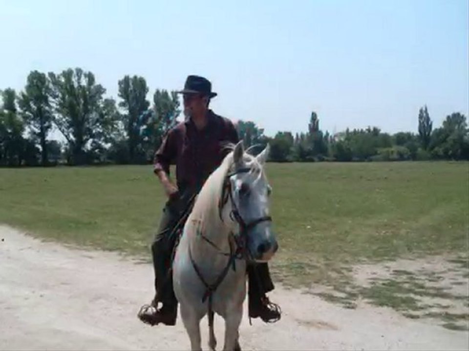 Journée Camargue Arles