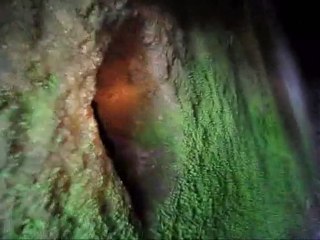 Lenda de Kurat Avarat e Sintra (no suposto tempo ...