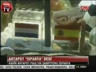 Ahtapot Paul 8. tahminin de Dünya Şampiyonu İspanya olacak .
