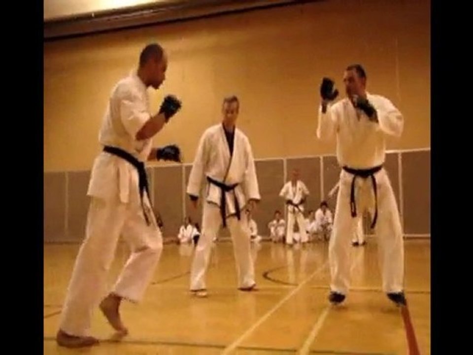 Black Belt Exam  June 2010 Kumite (2)