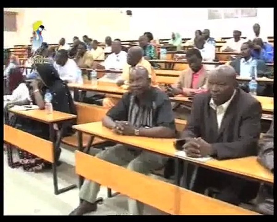 PETIT JT  FRANCAIS  DU 12/07/2010 PAR TCHADONLINE.TV