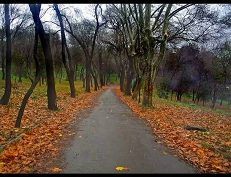 Kıraç-Yıllar Sonra dodurgali20