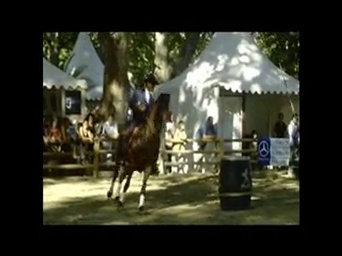 Beaucaire 2010 Rencontres Equestre Concours Maniabilité
