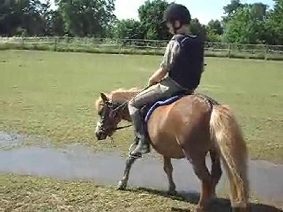 Échauffement CSO préparation Galop 5 stage 12/07/2010.