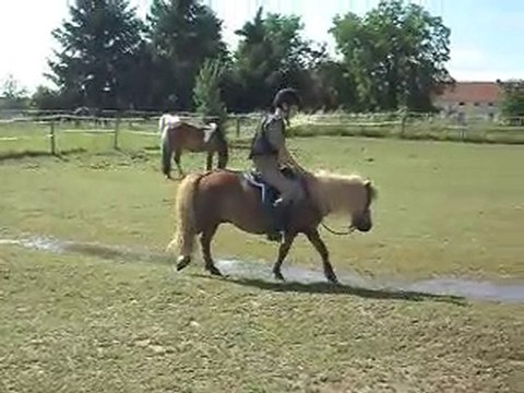 Echauffement CSO préparation Galop 5 stage 12/07/2010