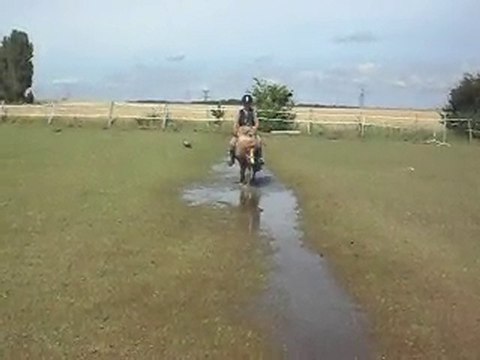 Échauffement CSO préparation Galop 5 stage 12/07/2010.