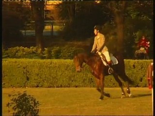 Maria Julia Burgos -