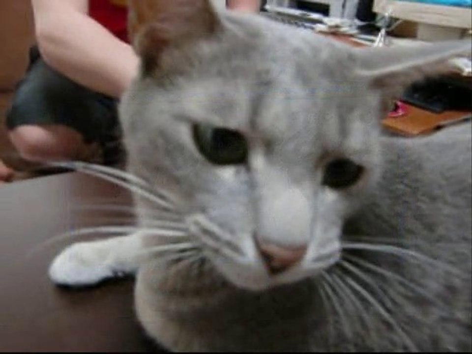kctv vol,13