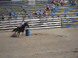 trois bidons la fille et son cheval bai brun