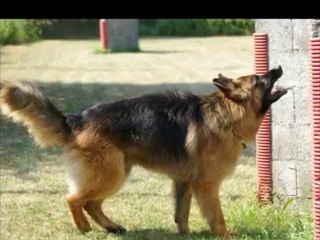 entrainement rci du 11 juillet 2010