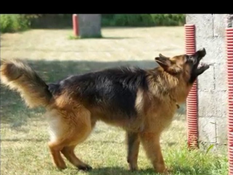 entrainement rci du 11 juillet 2010