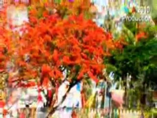 Liên khúc Đưa Em Vào Hạ,Hát Nữa Đi Hương-Tiếnghát: HạtSươngK