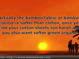 Ideas for using Bamboo in Modern Home Decor