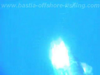 thon à la "volante" by Bastia Offshore Fishing Club