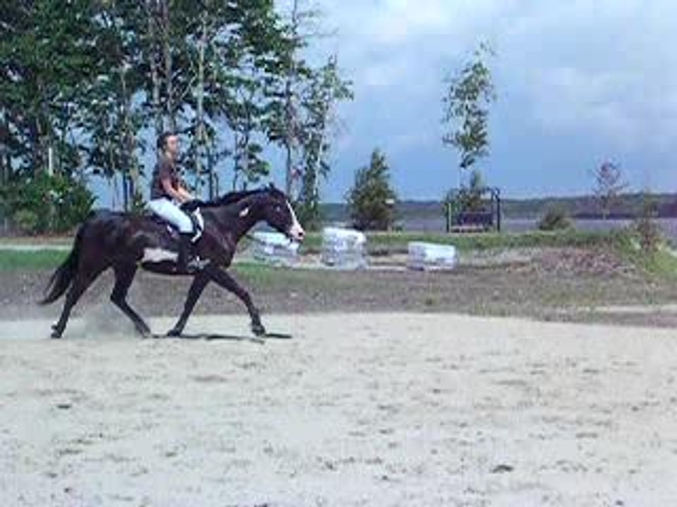julie8