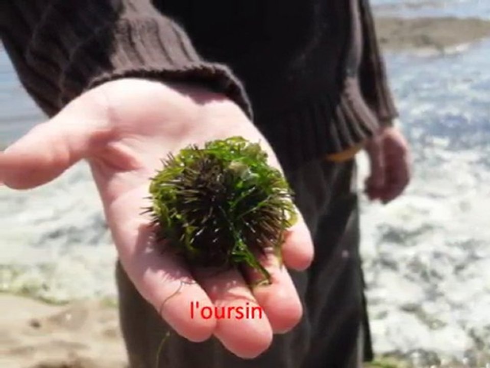 Mon livre de pêche