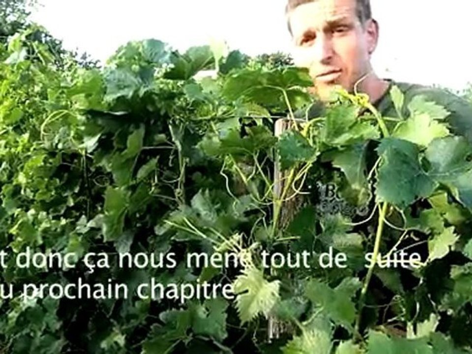 good morning l'idiot