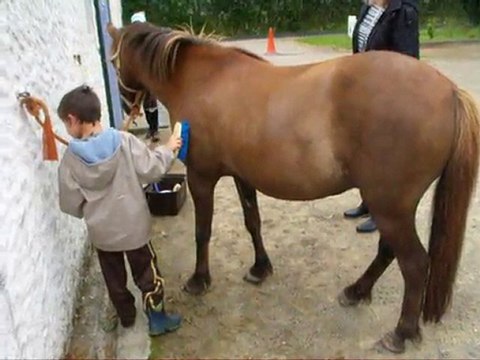 1er seance bourgneuf cheval avec annick