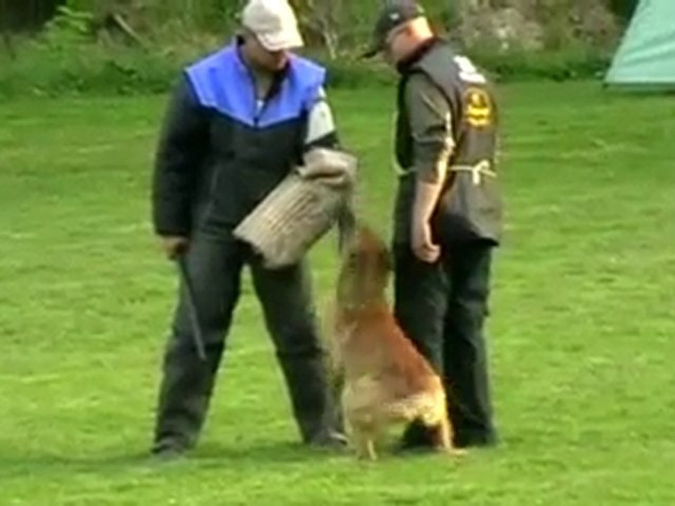 Mecberger EEMELI IPO-1 Abt. C