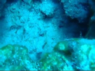 Sonim cep telefonu Su Testi (21 metre)