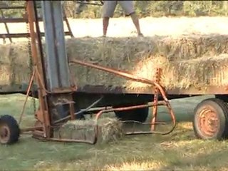 du foin pour nourrir les brebis