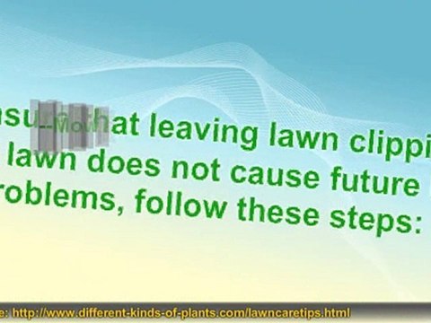 Are Grass Clippings Good Or Bad For You Lawn?