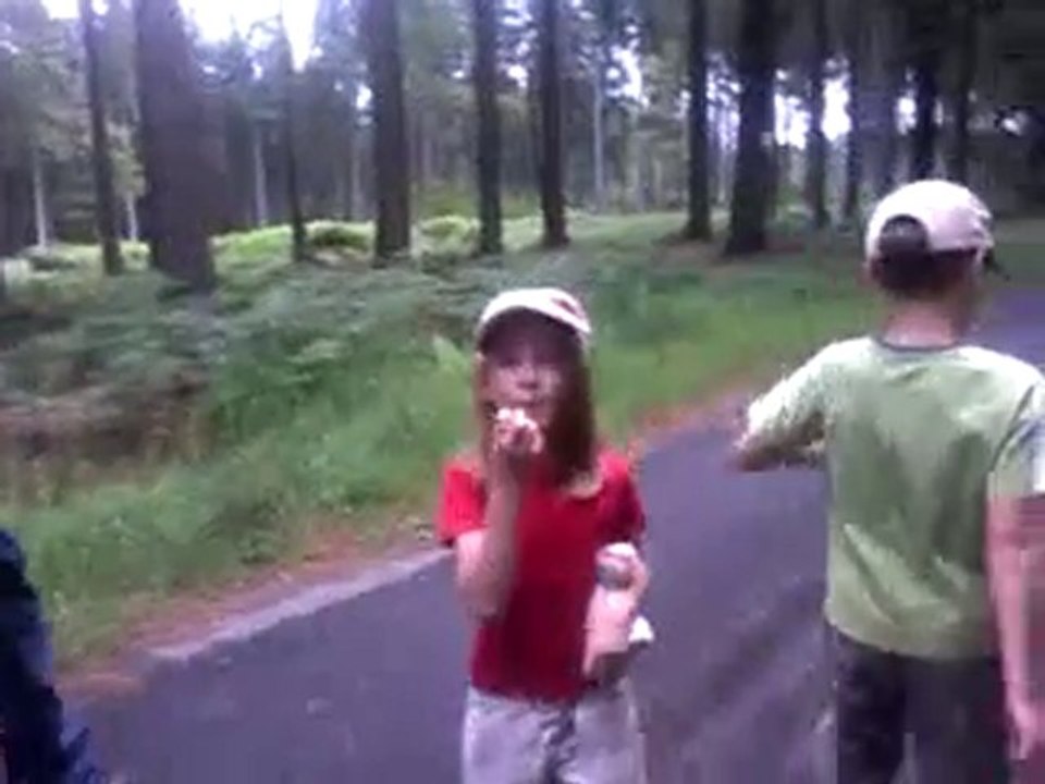 promenade dans le bois