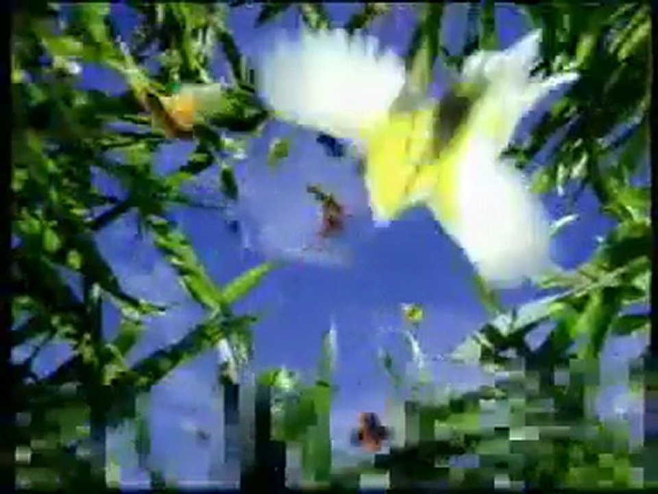 Publicité Bounty avec notre panthère noire Tara et nos singe