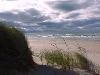 Homes for Sale - 1415 Lake Shore Dr - Long Beach, IN 46360 -