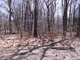 Homes for Sale - 0 900 North & 400 West - Michigan City, IN