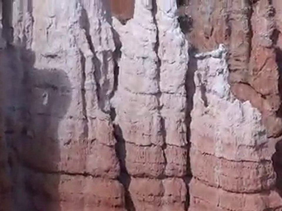 Bryce