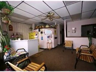 Homes for Sale - 406 E Irving Park Rd - Wood Dale, IL 60191