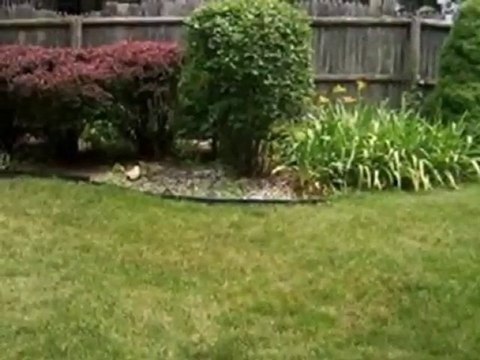 Homes for Sale - 330 Springlake Ln Apt A - Aurora, IL 60504